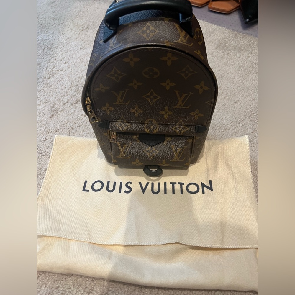 Preowned Louis Vuitton Palm Springs Mini Backpack
